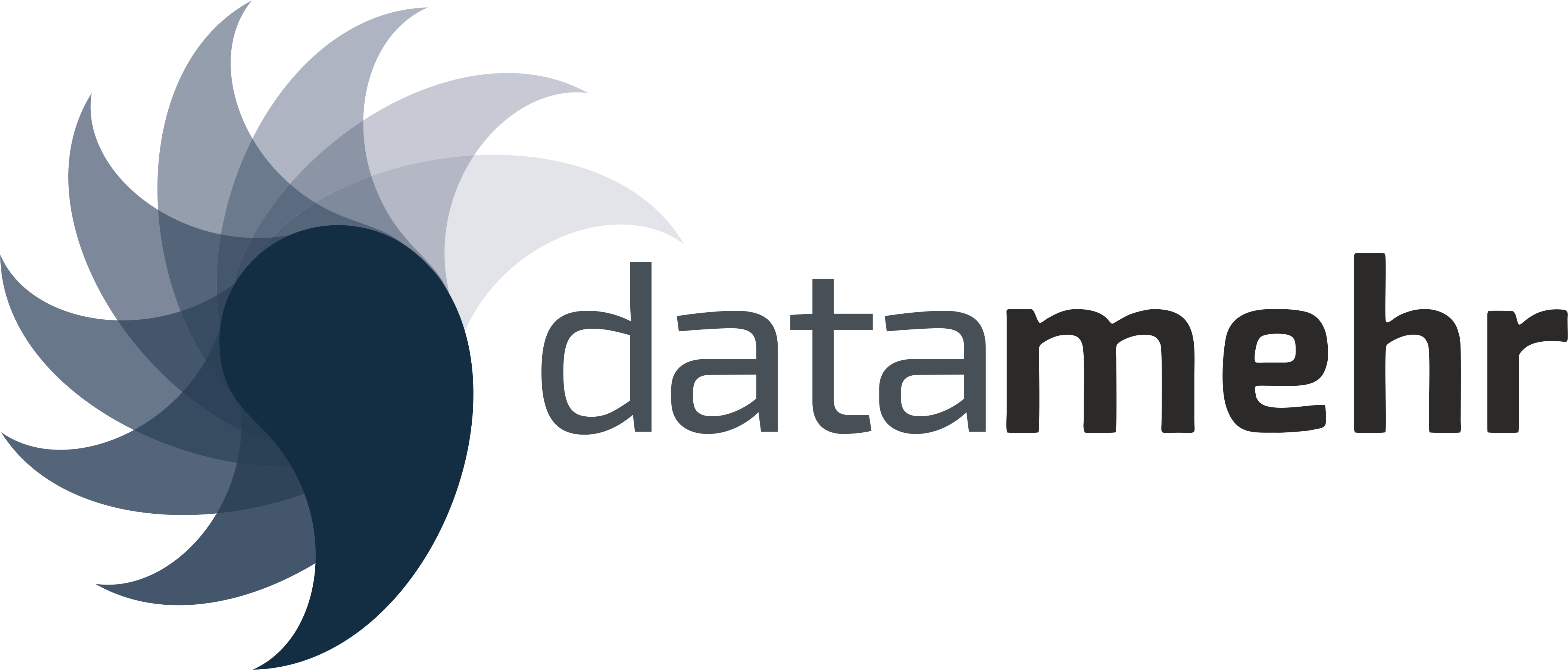 datamehr Logo